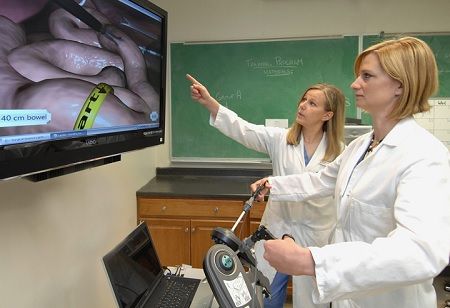 UPM Launches VR, AI Lab to Transform Veterinary Training