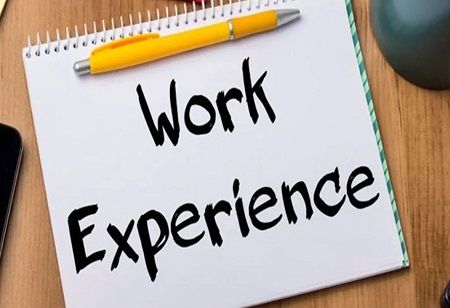 UAE Universities to Include Work Experience in Curriculum